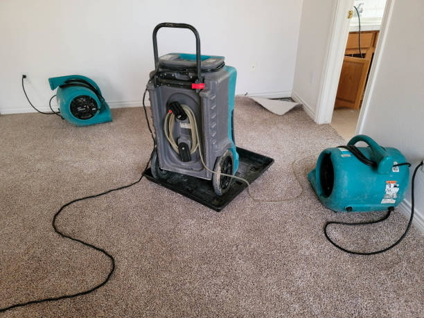 Water damage restoration process in Conneaut Lakeshore, PA