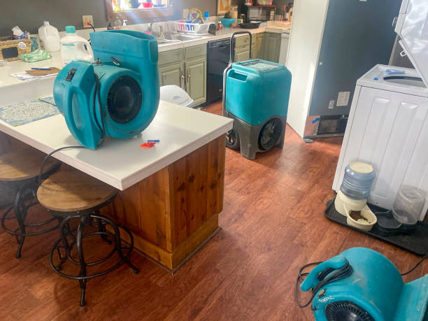 Best Water damage cleanup near me  in Conneaut Lakeshore, PA