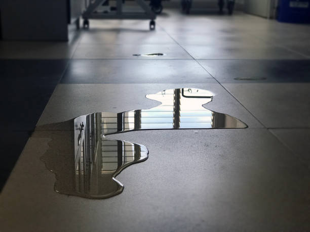 Best Water damage restoration near me  in Conneaut Lakeshore, PA