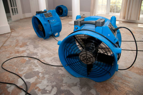 Conneaut Lakeshore, PA Water damage restoration Pros