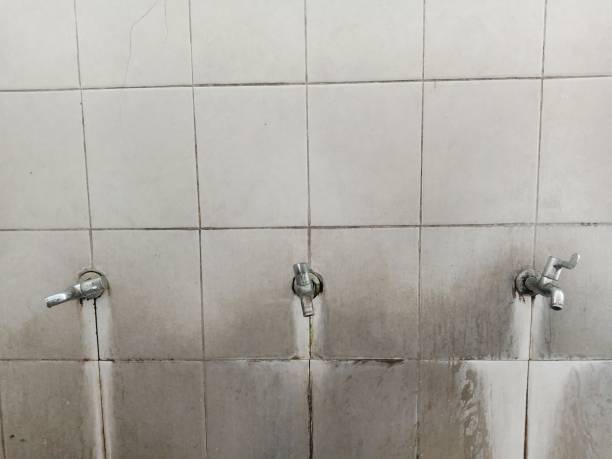 Best Emergency water damage restoration  in Conneaut Lakeshore, PA