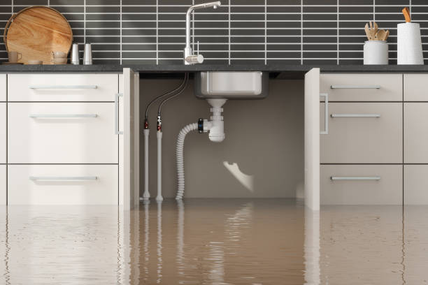 Water damage restoration experts in Conneaut Lakeshore, PA