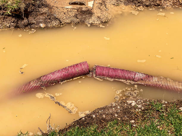 Best Residential water damage restoration  in Conneaut Lakeshore, PA