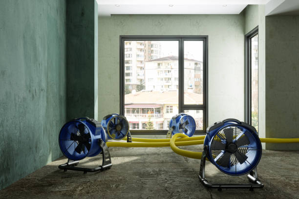 Best Professional water damage repair  in Conneaut Lakeshore, PA