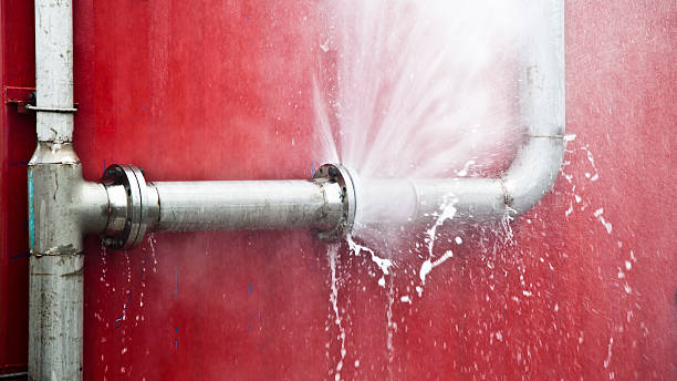 Best Water damage cleanup near me  in Conneaut Lakeshore, PA